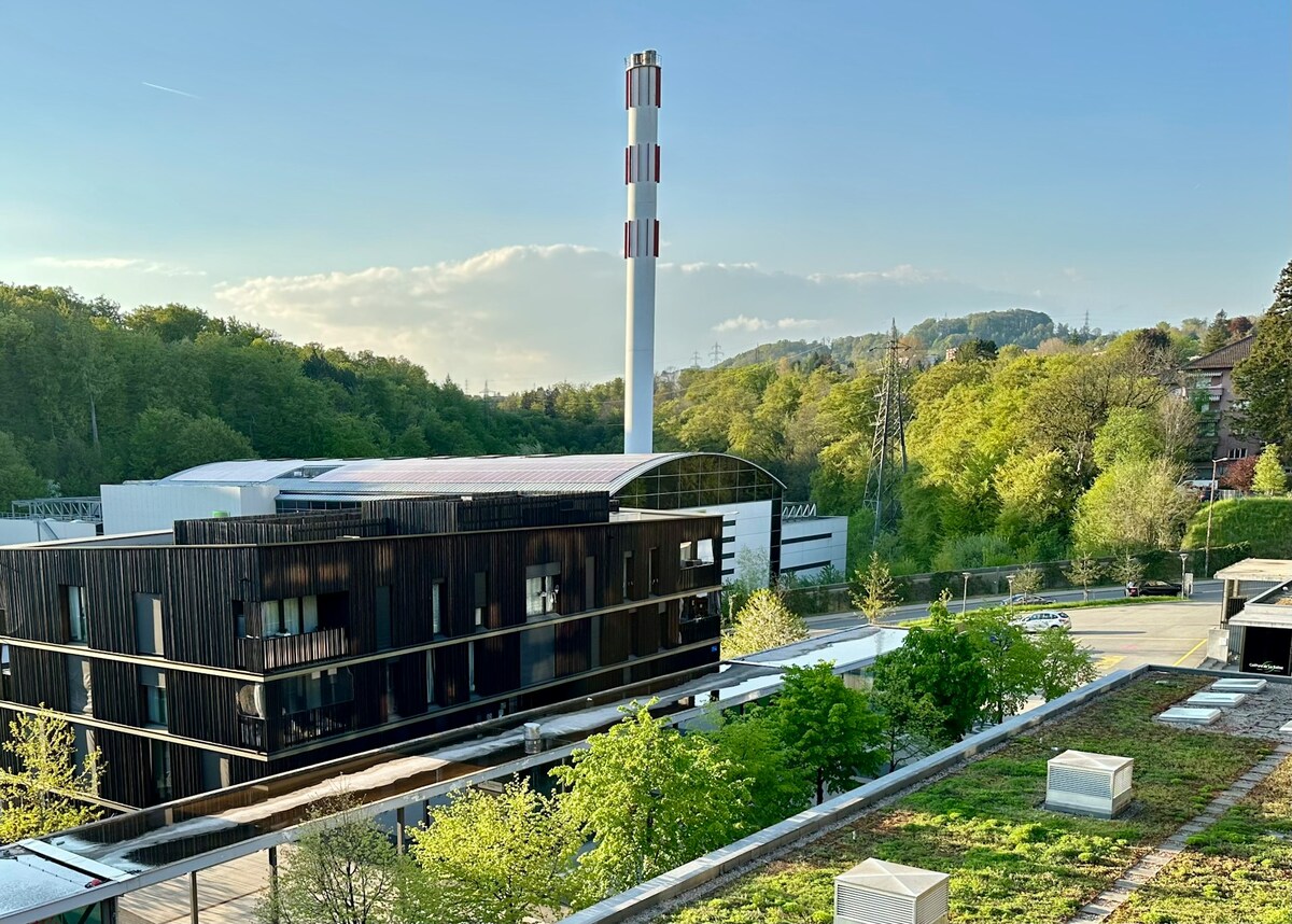 Daniel Camejo Rodríguez